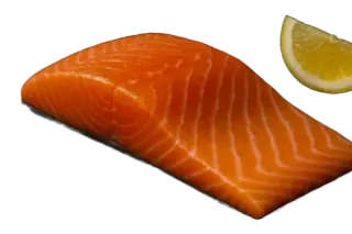 Salmón fresco
